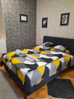 Apartman STEVAN Vrnjačka Banja